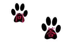 吊装作业中几种吊装方法